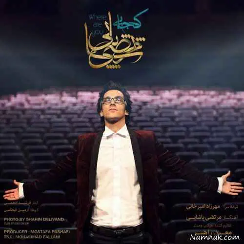مرتضی پاشایی